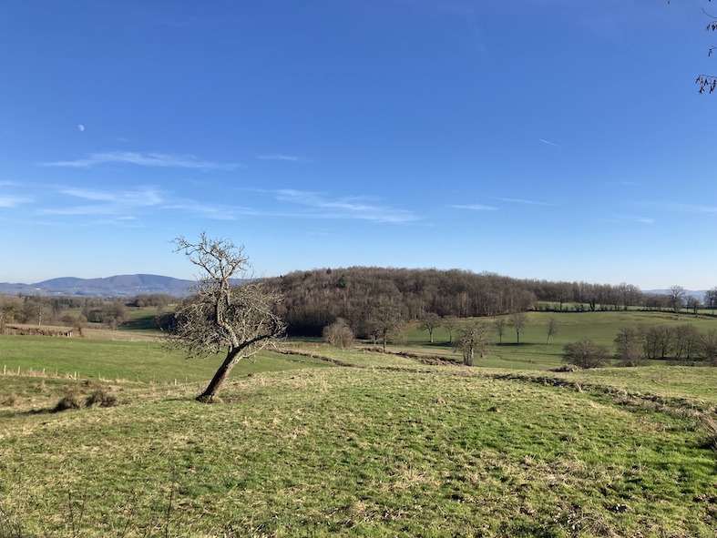 Gite Morvan Au 40 8933